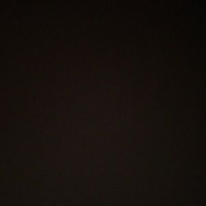 Meet your Posher, Freddie